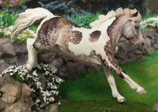 "Felix Felicis" owned by Kellye Bussey